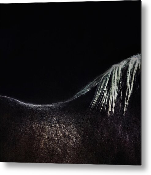 Animals Metal Print featuring the photograph The Naked Horse #1 by Piet Flour