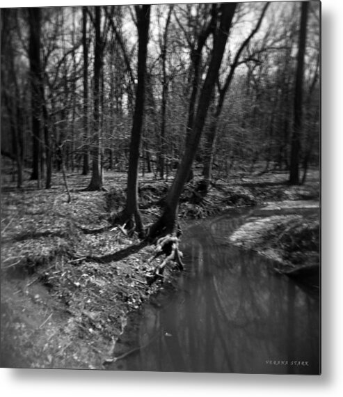 Thorn Creek Metal Print featuring the photograph Thorn Creek #1 by Verana Stark