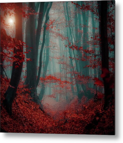 Mood Metal Print featuring the photograph Written With Blood #1 by Ildiko Neer