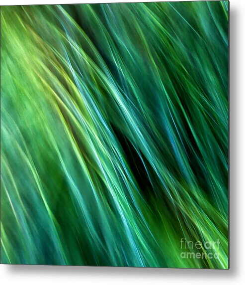 Joanne Bartone Photographer Metal Print featuring the photograph Meditations on Movement in Nature #16 by Joanne Bartone