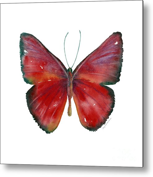 Red Metal Print featuring the painting 16 Mesene Rubella Butterfly by Amy Kirkpatrick