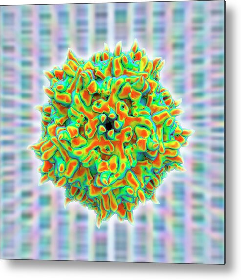 3d Metal Print featuring the photograph Adeno-associated Virus #2 by Alfred Pasieka