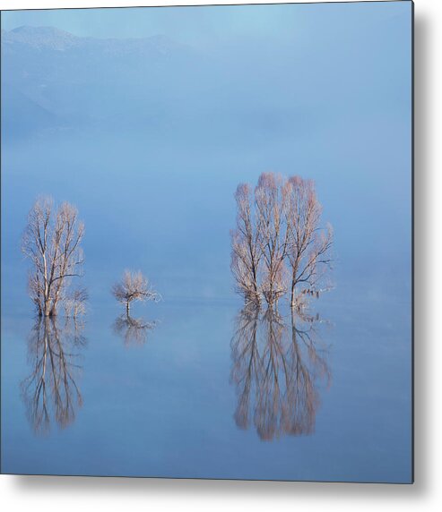 Water's Edge Metal Print featuring the photograph Misty Lake In Spring #2 by Temizyurek