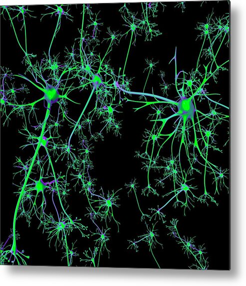 Artwork Metal Print featuring the photograph Neuron #2 by Mehau Kulyk