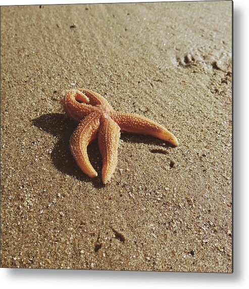 Anderby Creek Metal Print featuring the photograph Starfish II #2 by Gemma Knight