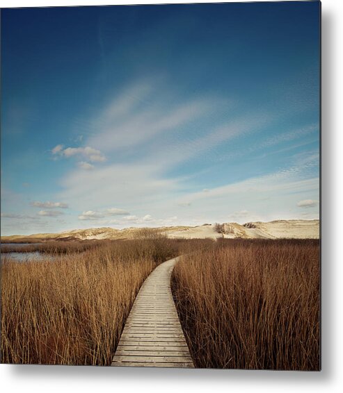 Grass Family Metal Print featuring the photograph Way Through The Dunes #2 by Ppampicture