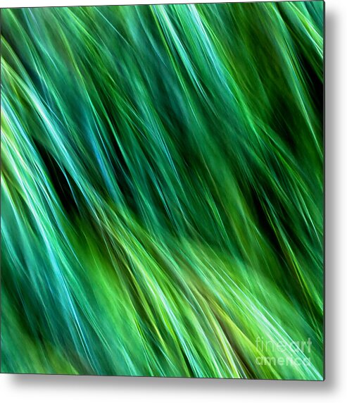 Joanne Bartone Photographer Metal Print featuring the photograph Meditations on Movement in Nature #20 by Joanne Bartone