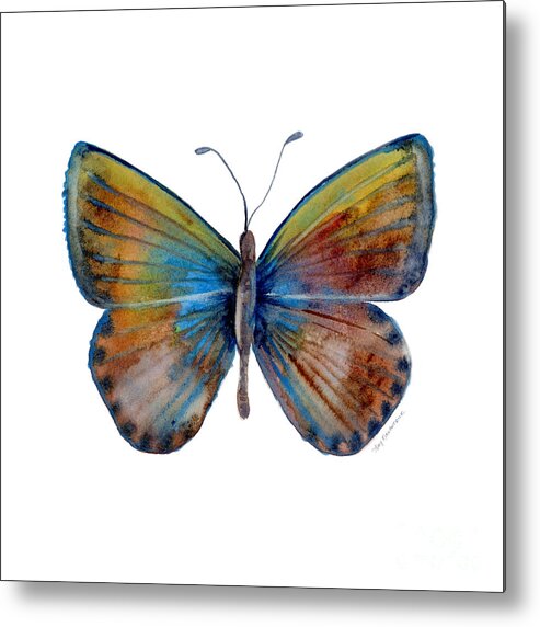 Clue Metal Print featuring the painting 22 Clue Butterfly by Amy Kirkpatrick