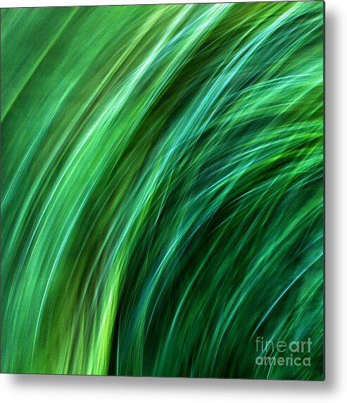 Joanne Bartone Photographer Metal Print featuring the photograph Meditations on Movement in Nature #29 by Joanne Bartone