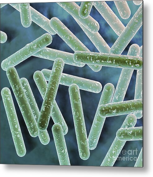 Nanomedicine Metal Print featuring the photograph Nanorods #3 by Science Picture Co