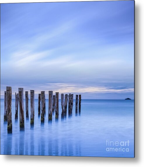 Beauty Metal Print featuring the photograph Old Jetty Pilings Dunedin New Zealand #3 by Colin and Linda McKie