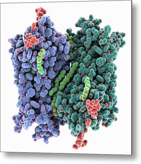 Rhodopsin Metal Print featuring the photograph Rhodopsin Molecule #3 by Laguna Design