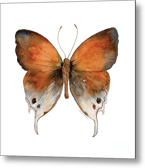 Manto Metal Print featuring the painting 47 Mantoides Gama Butterfly by Amy Kirkpatrick