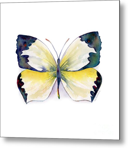 Mexican Metal Print featuring the painting 55 Mexican Yellow Butterfly by Amy Kirkpatrick