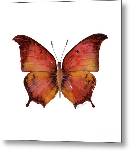 Andria Metal Print featuring the painting 58 Andria Butterfly by Amy Kirkpatrick