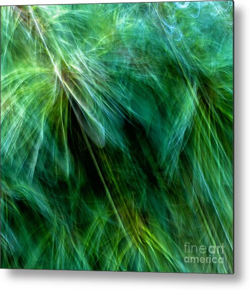 Joanne Bartone Photographer Metal Print featuring the photograph Meditations on Movement in Nature #6 by Joanne Bartone