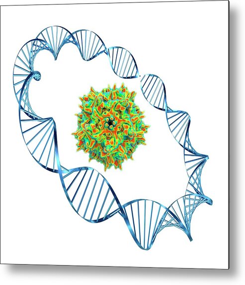 Aav Metal Print featuring the photograph Adeno-associated Virus by Alfred Pasieka