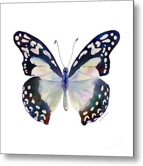 Angola White Lady Butterfly Metal Print featuring the painting 90 Angola White Lady Butterfly by Amy Kirkpatrick