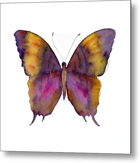Marcella Daggerwing Butterfly Metal Print featuring the painting 99 Marcella Daggerwing Butterfly by Amy Kirkpatrick