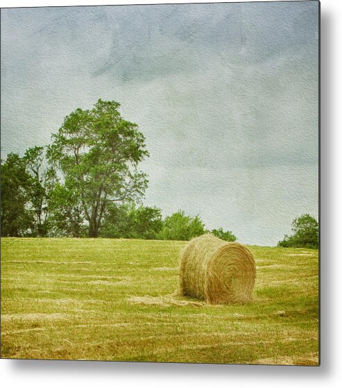 Agricultural Metal Print featuring the photograph A Day at the Farm by Kim Hojnacki