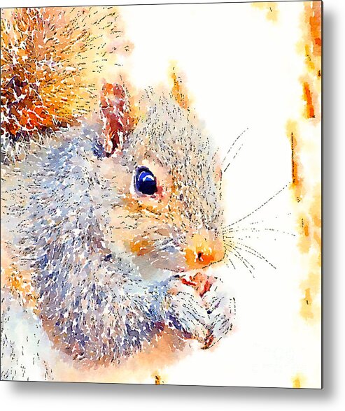 Squirrel Art Metal Print featuring the photograph A Little Bit Squirrely by Kerri Farley
