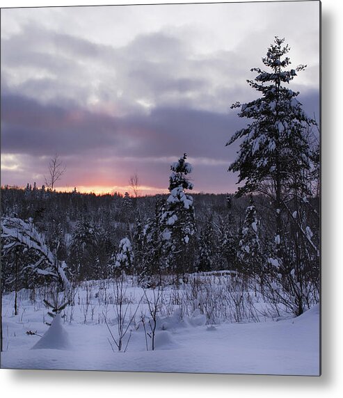 Michigan Up Landscape Metal Print featuring the photograph A Wolf's Eye View by Dan Hefle