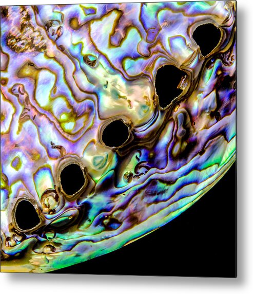 Sea Shell Metal Print featuring the photograph Abalone shell closeup by Jim Hughes