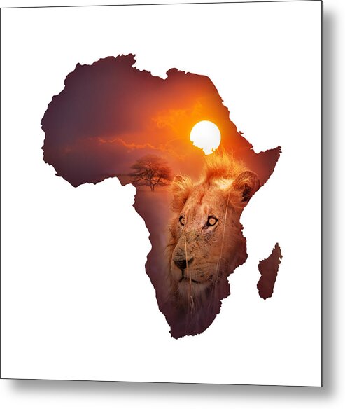 Africa Metal Print featuring the photograph African Wildlife Map by Johan Swanepoel