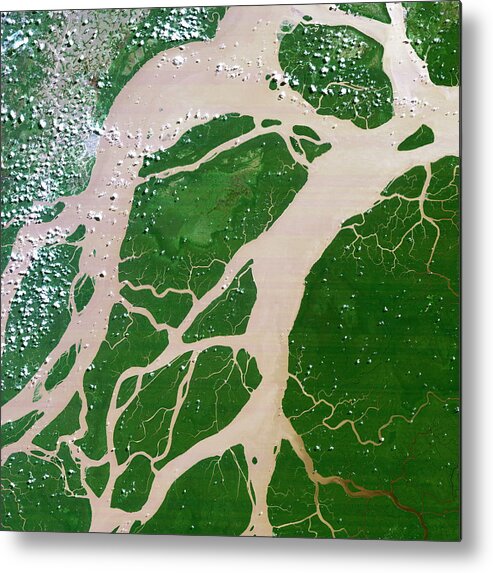 River Amazon Metal Print featuring the photograph Amazon Delta by Planetobserver