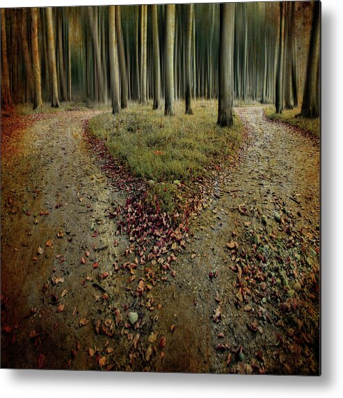 Forest Metal Print featuring the photograph [another Lonely Heart In Haunted Woods] by Mario Benz