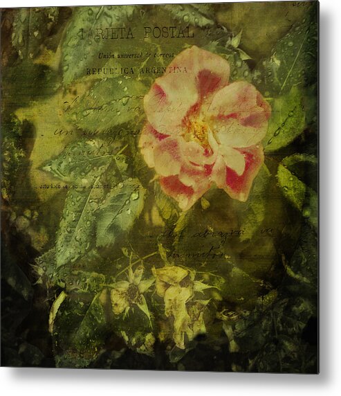 Rain Metal Print featuring the photograph Vintage Rose and Raindrops by Marianne Campolongo
