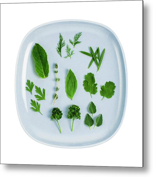 White Background Metal Print featuring the photograph Assorted Fresh Herb Leaves On Blue Plate by Creative Crop