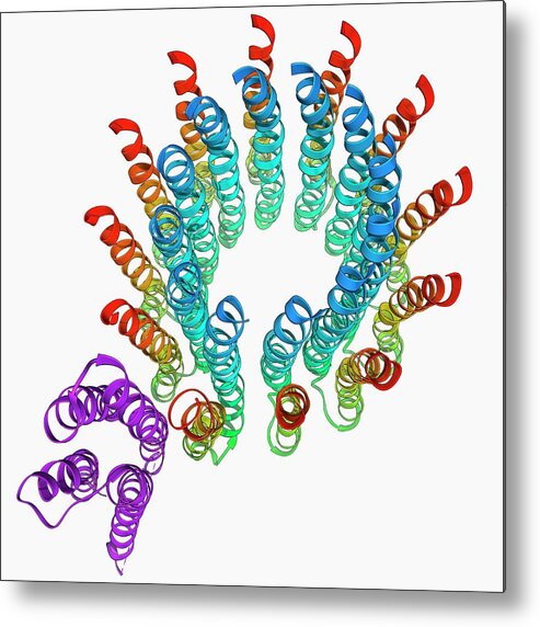 Artwork Metal Print featuring the photograph Atp Synthase Molecule by Laguna Design/science Photo Library