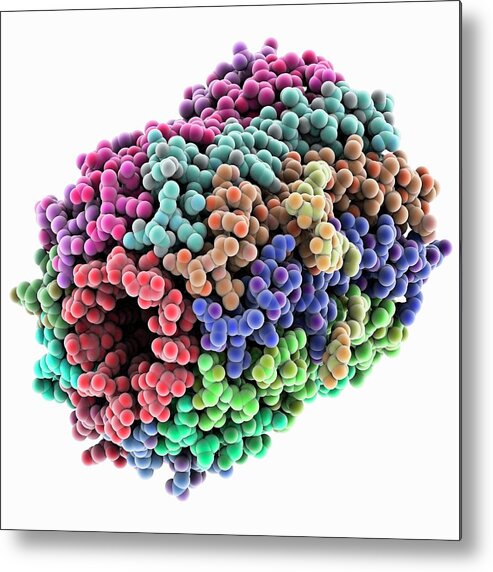 Atp Synthase Metal Print featuring the photograph Atp Synthase Rotor Ring by Laguna Design