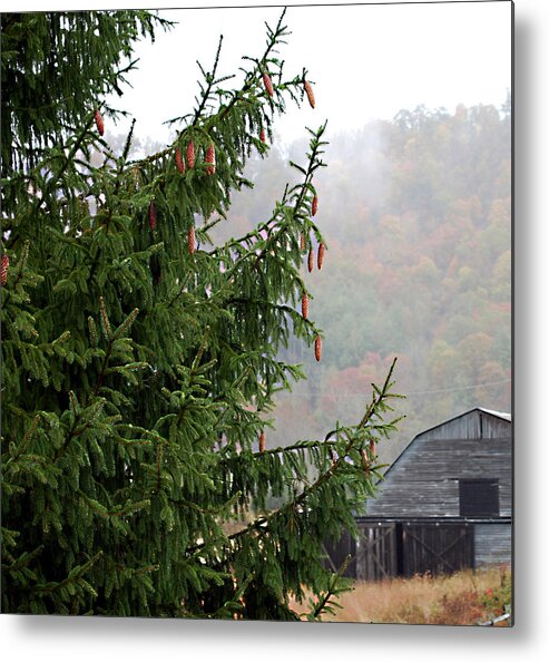 Autumn Metal Print featuring the photograph Autumn In North Carolina by Linda Cox