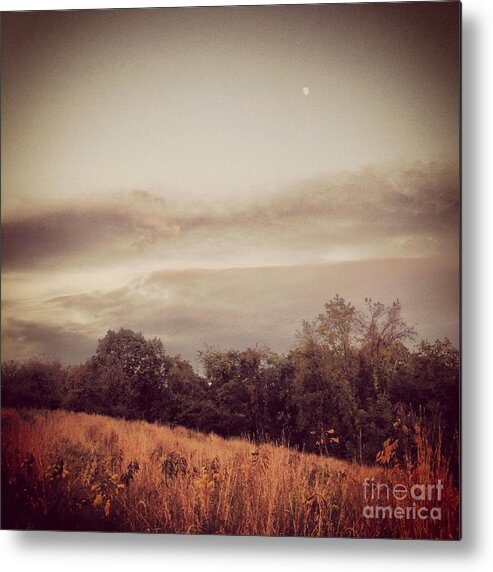 Moon Metal Print featuring the photograph Autumn Meadow by Angela Rath