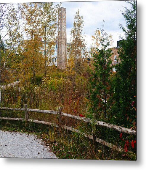 Toronto Metal Print featuring the photograph Autumn Stroll at The Brickworks by Laura Tucker