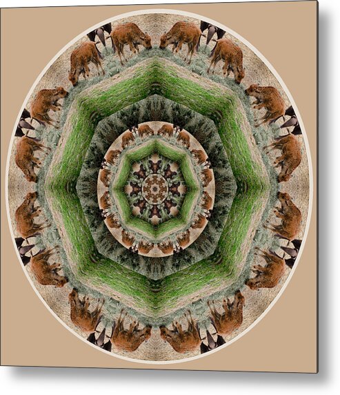 Mandala Metal Print featuring the digital art Baby Bison Mandala by Beth Sawickie