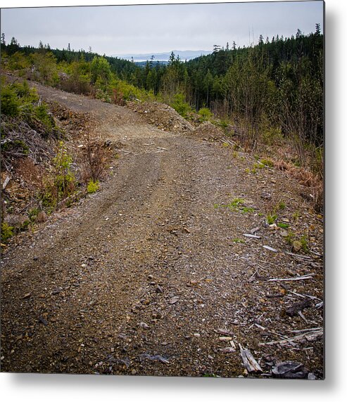 Backroad Metal Print featuring the photograph 4x4 Logging Road to Adventure by Roxy Hurtubise