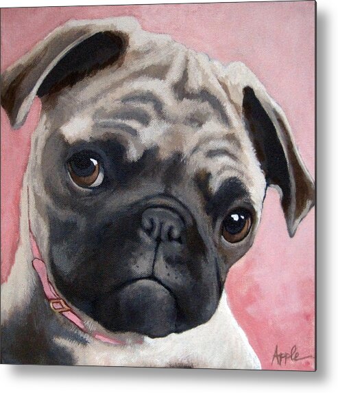 Pug Portrait Metal Print featuring the painting Bailey by Linda Apple