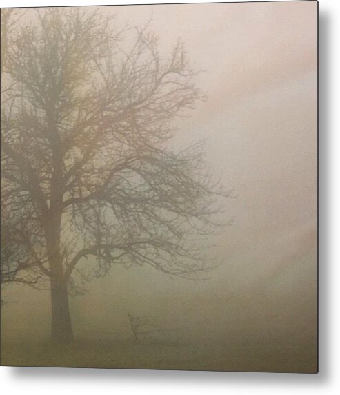 Photography Metal Print featuring the photograph Barely There #photography by Mary Ann Reilly