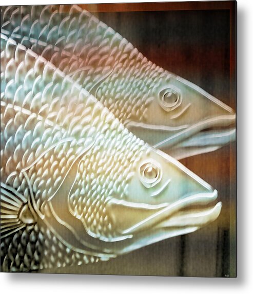 Animals Metal Print featuring the photograph Barramundi by Holly Kempe