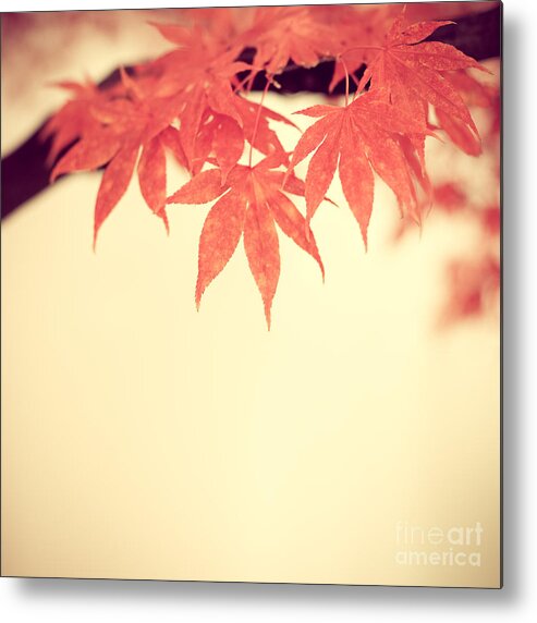Autumn Metal Print featuring the photograph Beautiful Fall by Hannes Cmarits