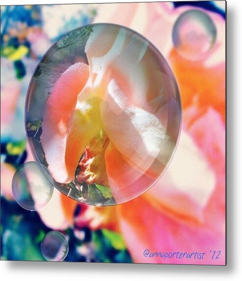 Floral Metal Print featuring the photograph Beautiful Rose Marble - Autumn Light by Anna Porter