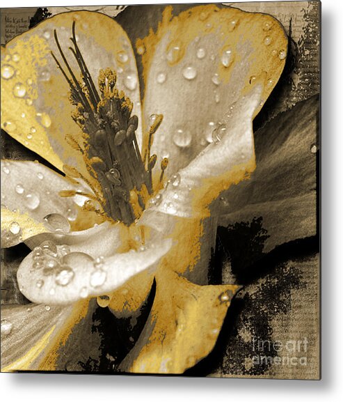  Metal Print featuring the mixed media Beauty II by Yanni Theodorou
