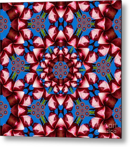 Kaleidoscope Metal Print featuring the photograph Beauty Of Aruba Kaleidoscope by Judy Wolinsky