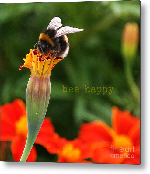 Inspiration Metal Print featuring the photograph Bee Happy by Diane Enright