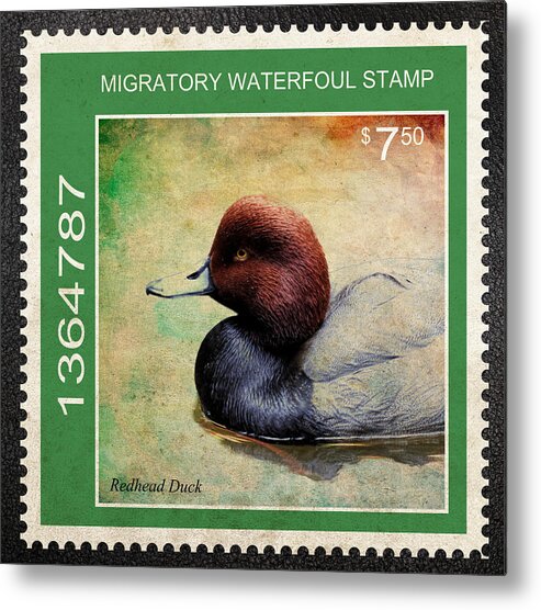 Drakes Metal Print featuring the photograph Bird Stamp by Steve McKinzie