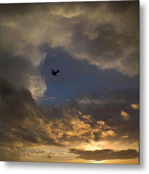 Bird Metal Print featuring the photograph Birdie or Hole in One by Suzy Piatt