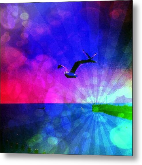 Beautiful Metal Print featuring the photograph Birds by Chris Drake